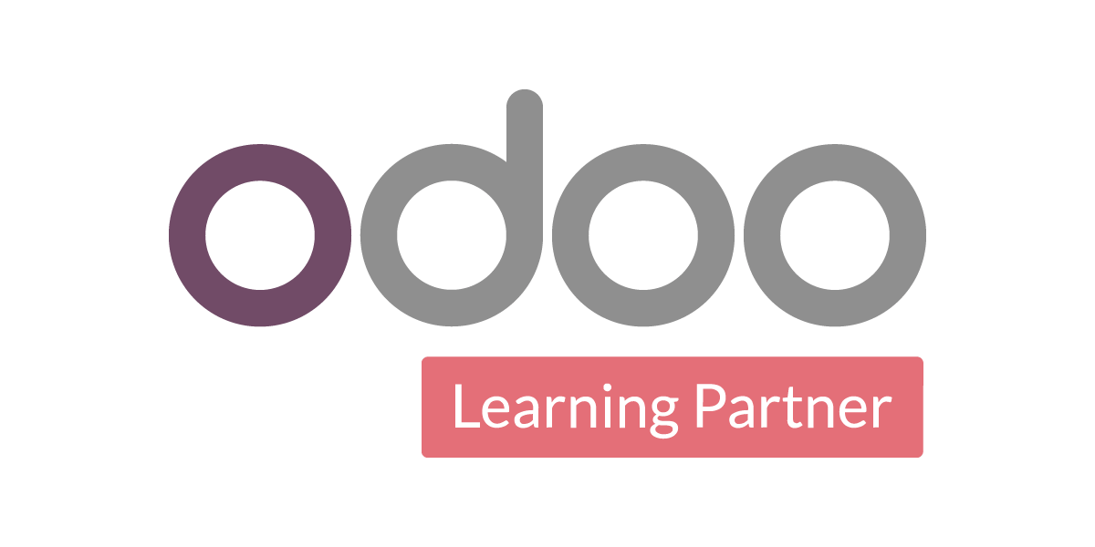 Logo Odoo Partner